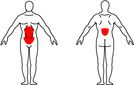 Kettlebell Russian Twist - Kettlebell Around The Body Muscles (540x300), Png Download