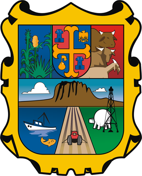 Portal, Searching, Mexico, Search, Gate - Tamaulipas Flag (480x594), Png Download