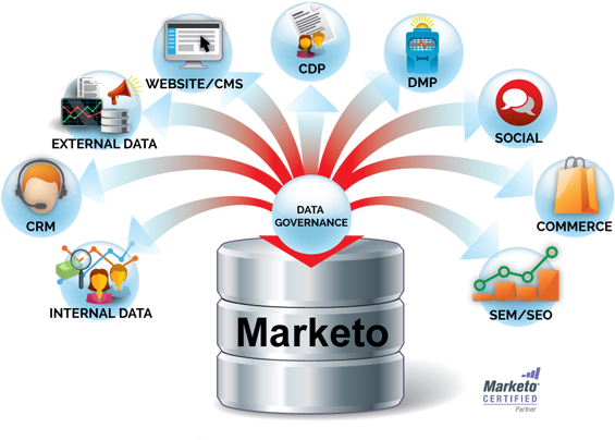 Marketo Implementation Services - Pardot (679x473), Png Download