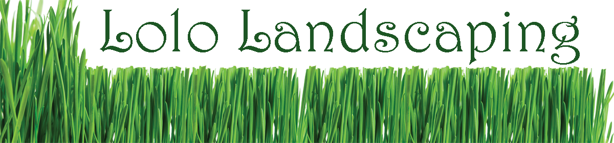 Lolo Lawn And Landscaping - Baking And Wine Round Ornament (1200x281), Png Download