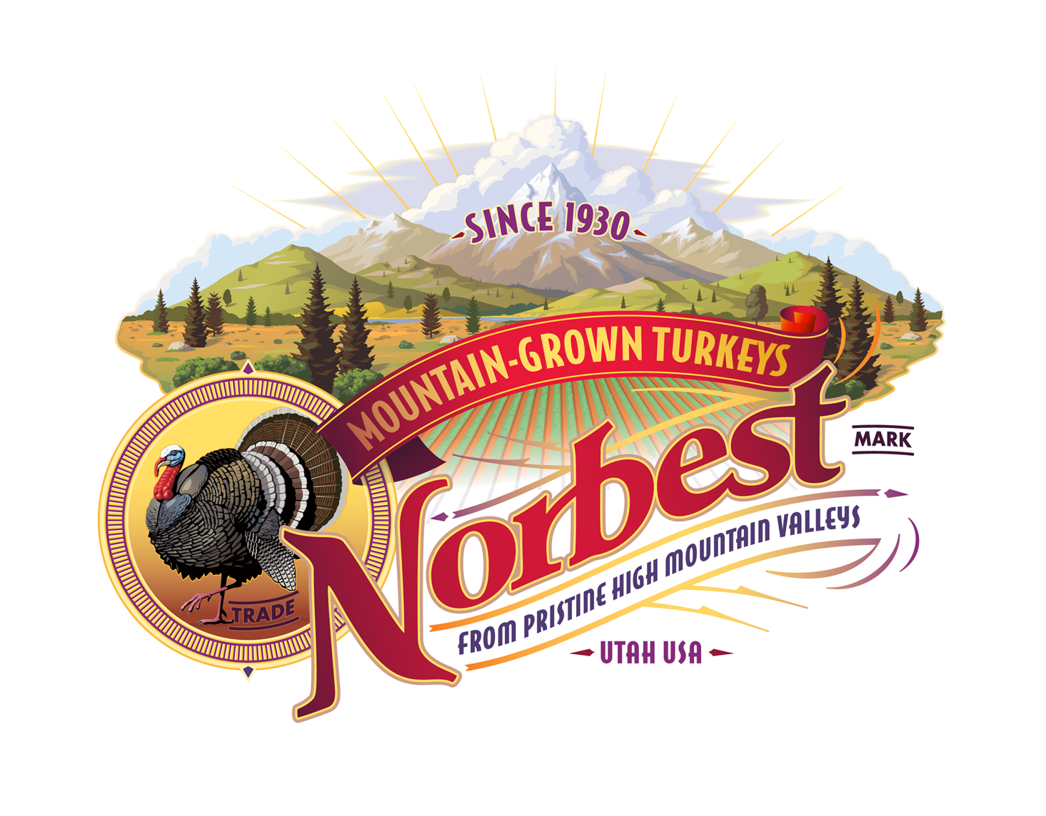 Download - Norbest Ground Turkey (1500x1500), Png Download