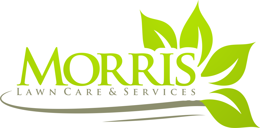 Morris Lawn Care And Services - Morris Law Group Logo (1030x509), Png Download