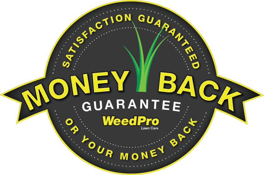 18 Years Of Excellence - Circle (853x568), Png Download