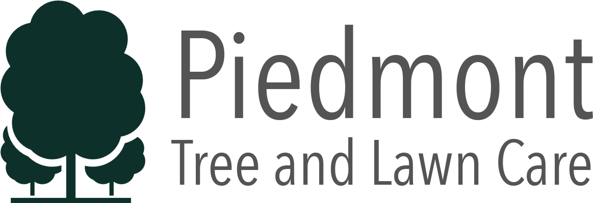 Camp Winnipesaukee (1260x484), Png Download