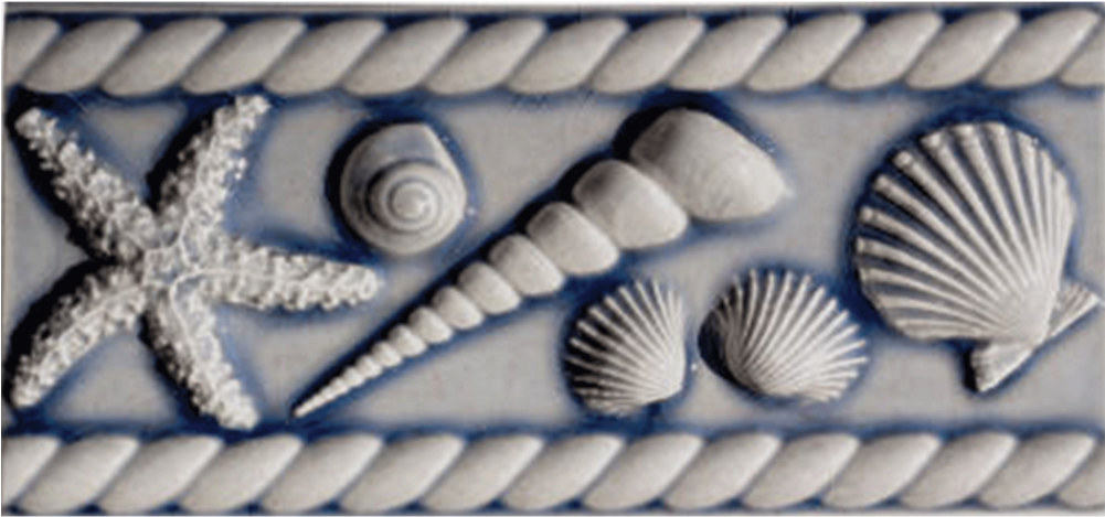 3 1/4" X 8" Seashell Border (1000x990), Png Download