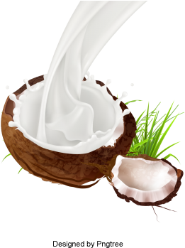 Delicious Coconut Creative Material Design, Coconut, - Coconut (360x360), Png Download