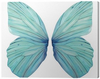 Fairy Wings (400x400), Png Download