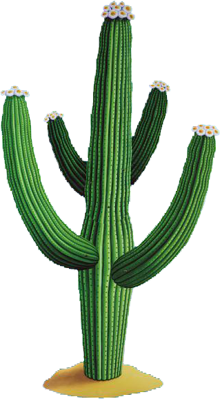 Cactus Free Png Download Vector - Mexican Cactus (330x600), Png Download
