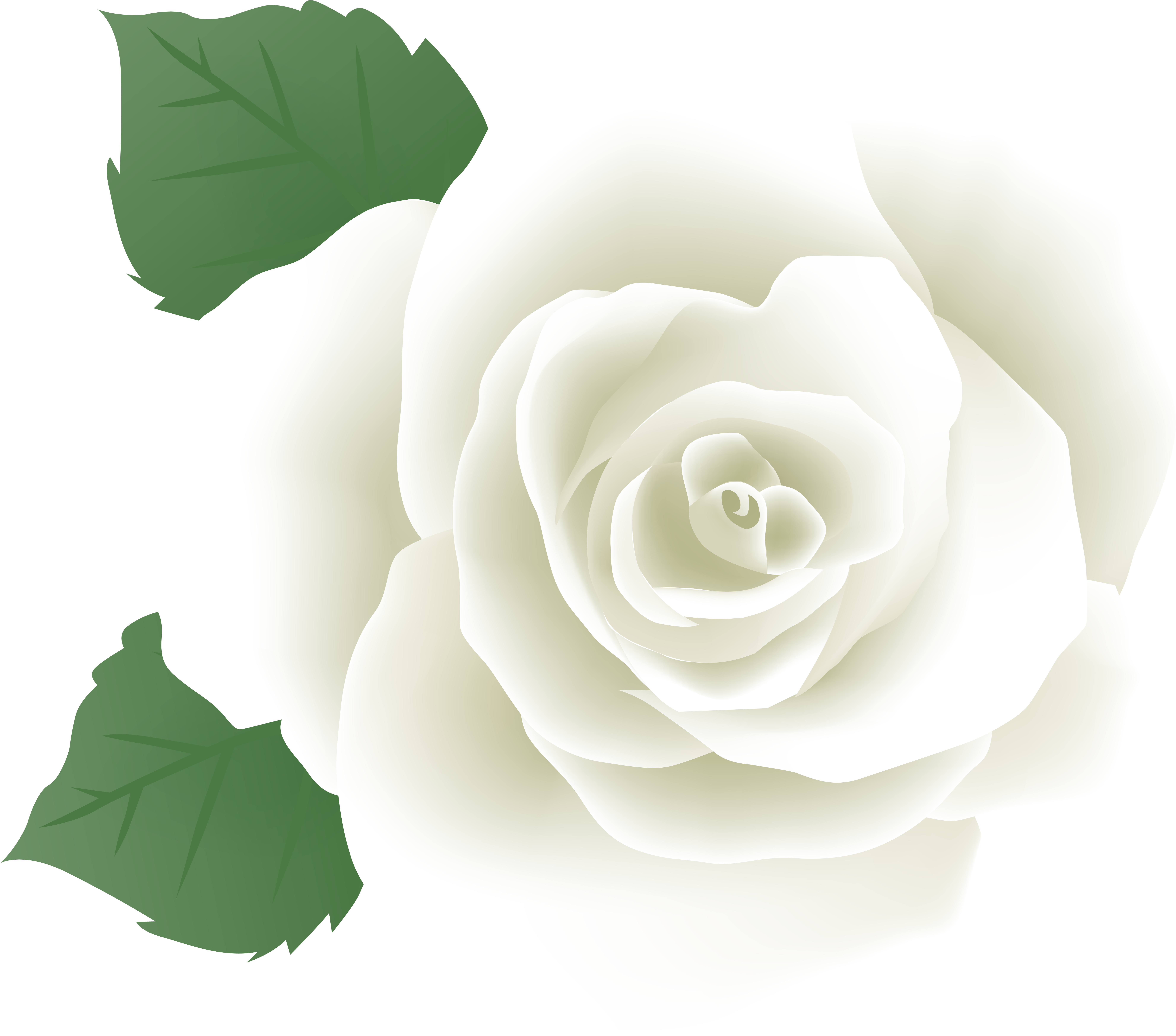 White Rose Png (8000x7057), Png Download