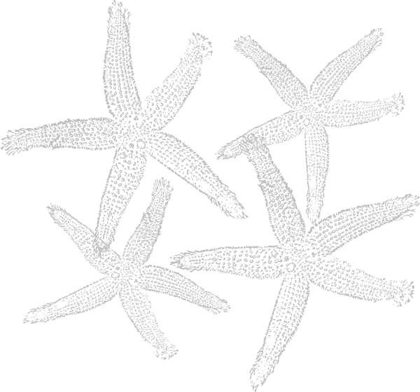 Small - Fish Clip Art (600x560), Png Download