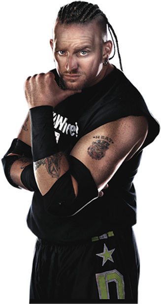 Pin By Richard Rodriguez On Wwe Greatness - Wwe '13 (456x617), Png Download