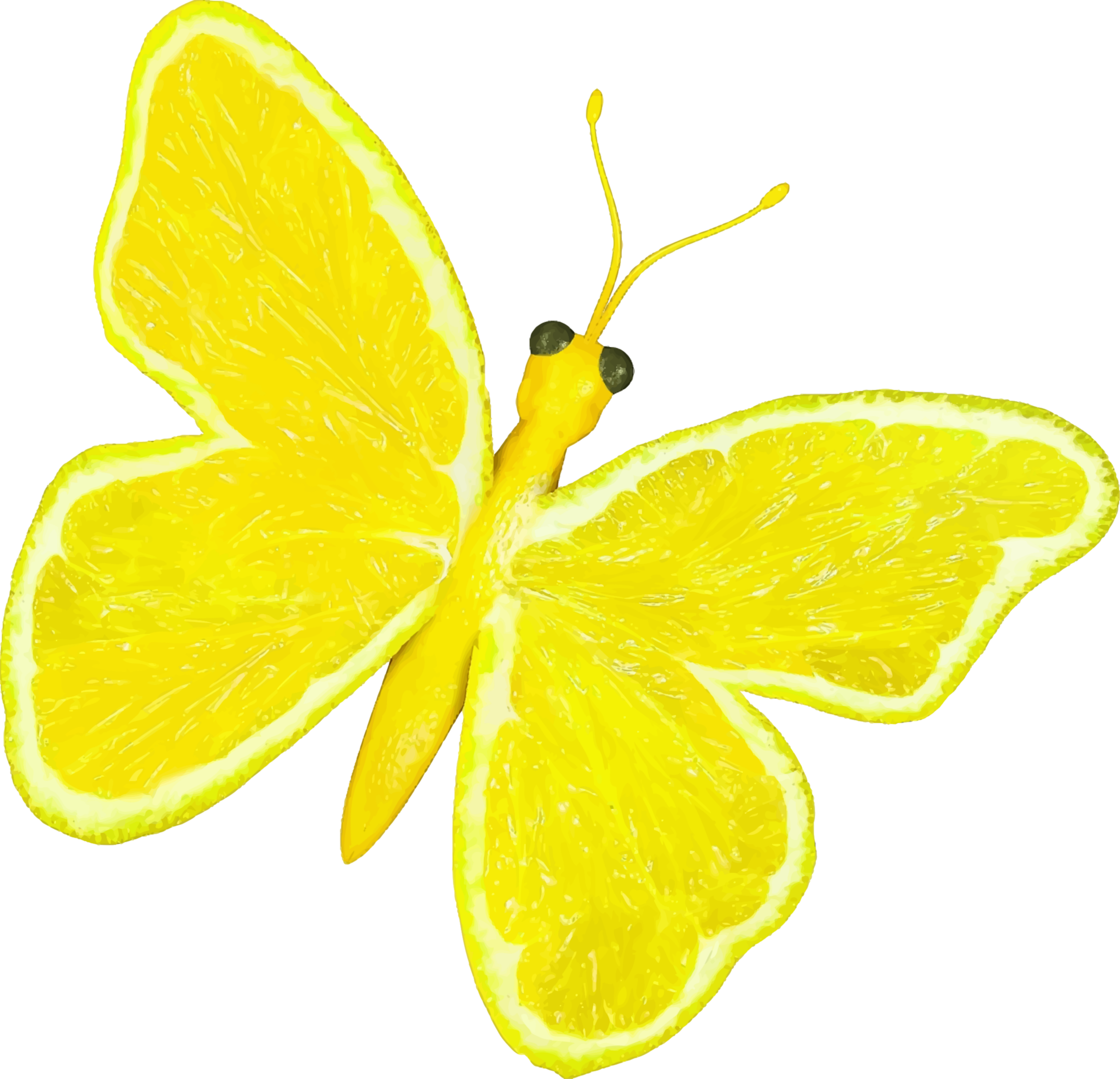 This Free Icons Png Design Of Citrus Fruit Butterfly (2400x2312), Png Download