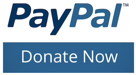 Paypal Donate Png High-quality Image - Paypal Here Chip Card Reader (emv ) Accepts Payments (500x288), Png Download