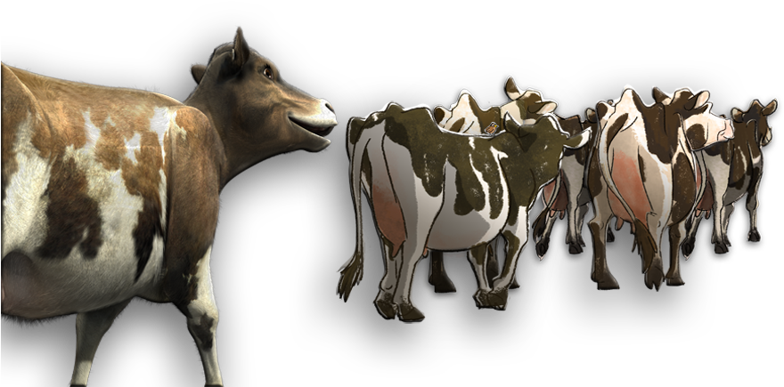 Cow Families - Herd Of Cattle Png (889x495), Png Download