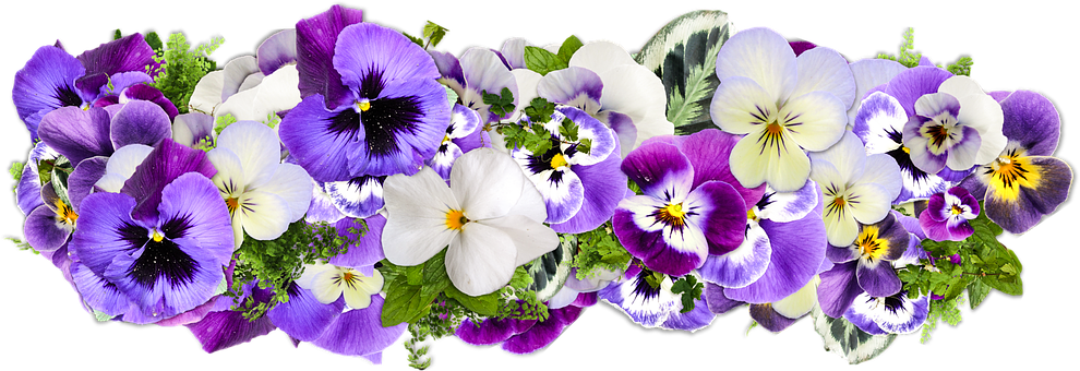 Graphic Free Stock Bouquet Transparent Purple Flower - Happy Birthday Pansies (400x400), Png Download