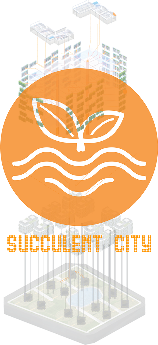 Succulent City (959x1280), Png Download