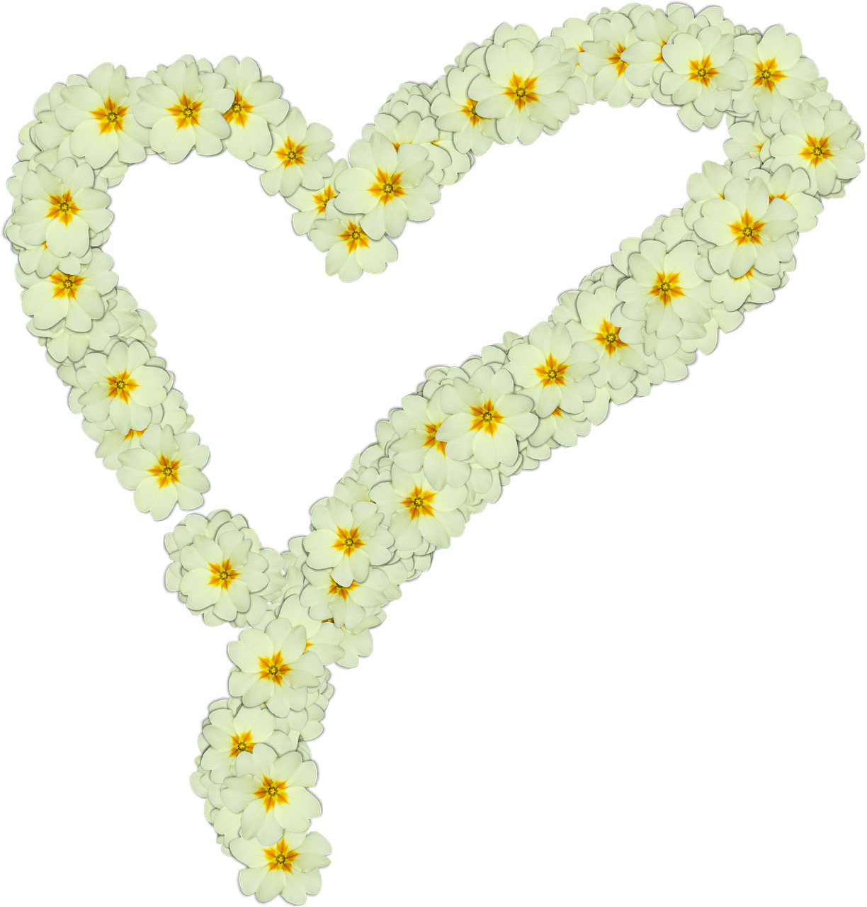 Download - Corazones Con Flores Blancas Y Negras (1224x1280), Png Download