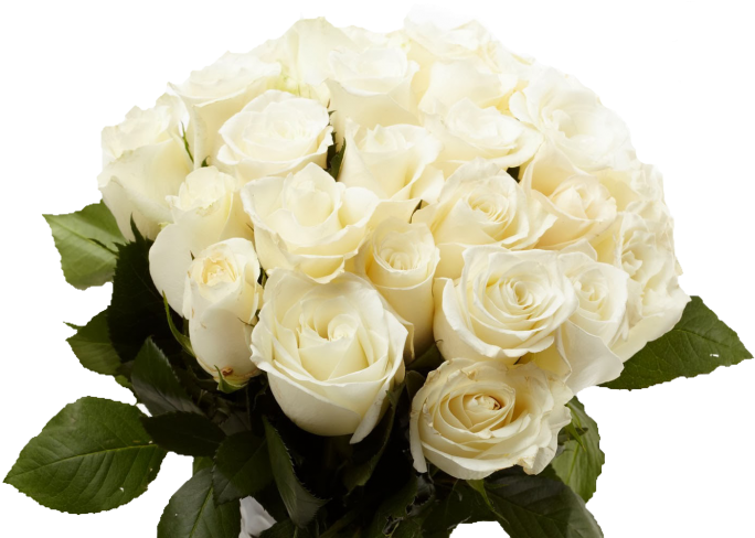 White Rose Bouquet Png (780x975), Png Download