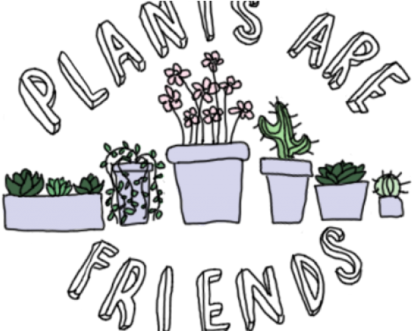 Drawn Plant Cactus Succulent - Plants Are Friends (500x441), Png Download