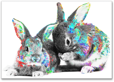 Furry & Sweet - Baby Rabbits (480x480), Png Download