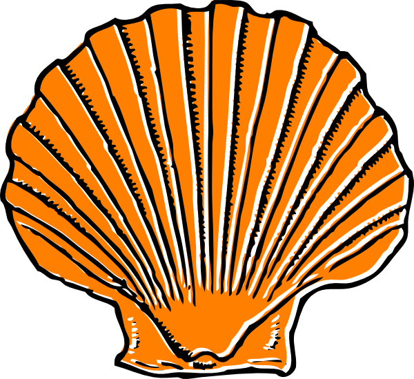 How To Set Use Orange Seashell Svg Vector (600x549), Png Download
