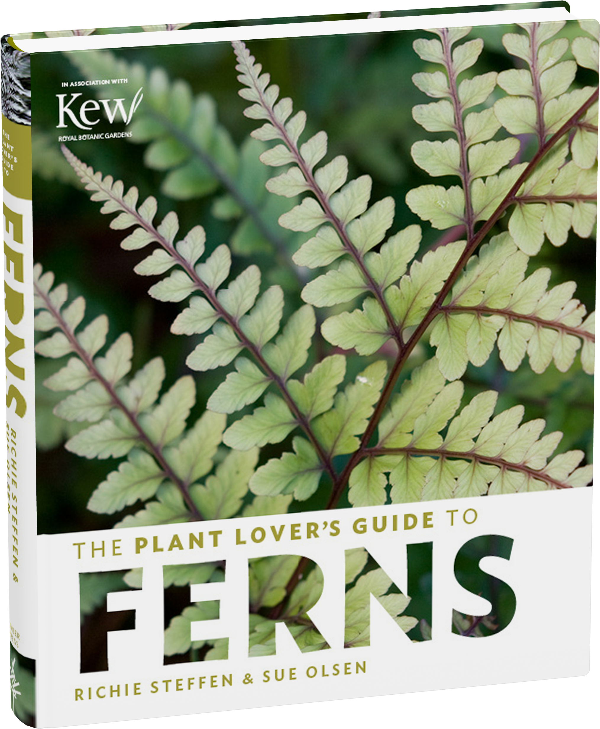 The Plant Lover's Guide To Ferns (2128x2561), Png Download