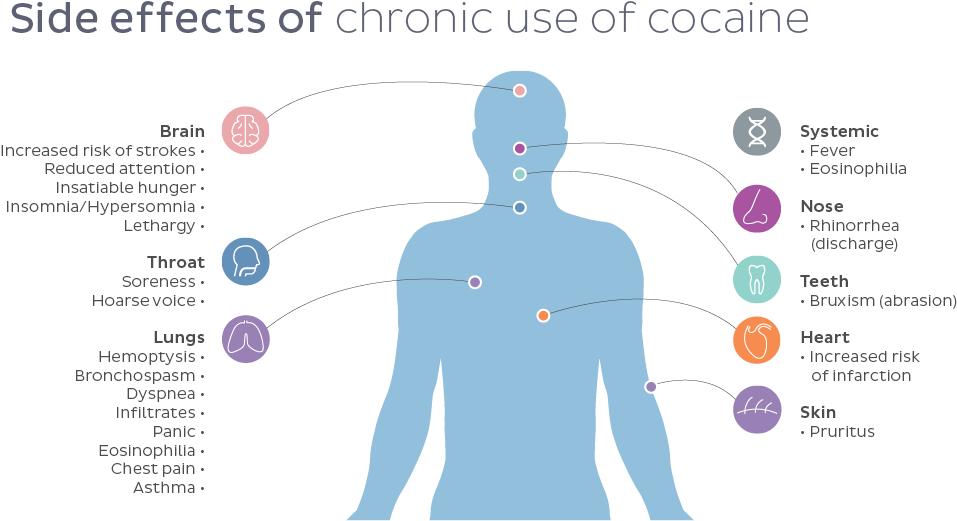 Side Effects Of Cocaine - Diagram (1010x591), Png Download