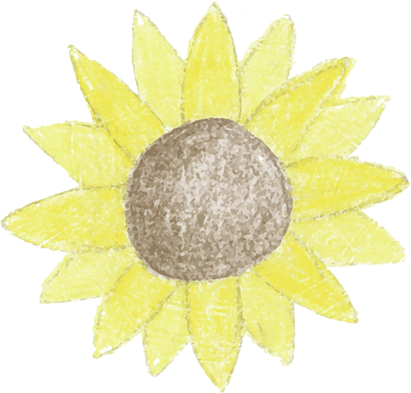 Sunflower - Kreative Transparentpapier Sterne (600x574), Png Download
