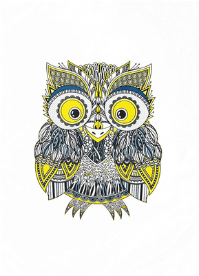 Png Transparent Library Drawing Owl Colourful - Colourful Zentangle Owl Large Cotton Tea Towel By Half (400x400), Png Download