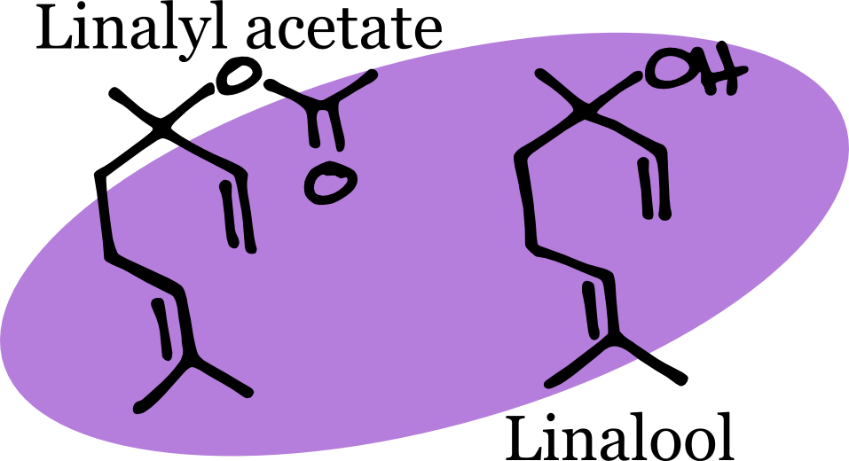 Minor Volatile Components That Contribute To The Scent - Chemical Structure Of Lavender (957x520), Png Download