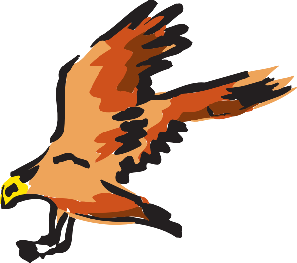Hawk Clipart Golden Hawk - Red Falcon Vector Fly (600x530), Png Download
