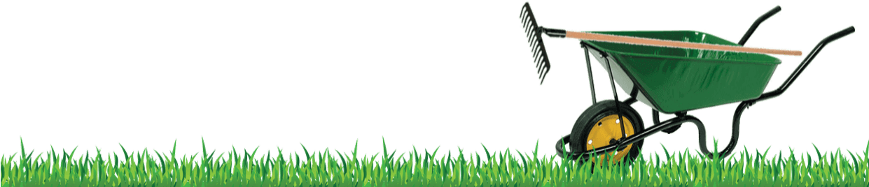 Lawn Care - Lawn (1240x374), Png Download