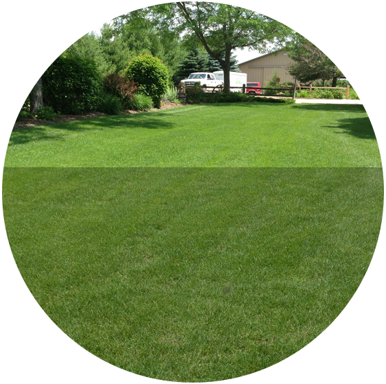 Top-notch Service - Community Lawn Care (562x560), Png Download