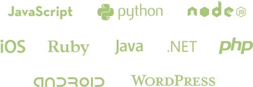 No More Custom Server Code - Wordpress (500x309), Png Download