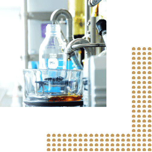 Mari-values - Portable Network Graphics (500x499), Png Download