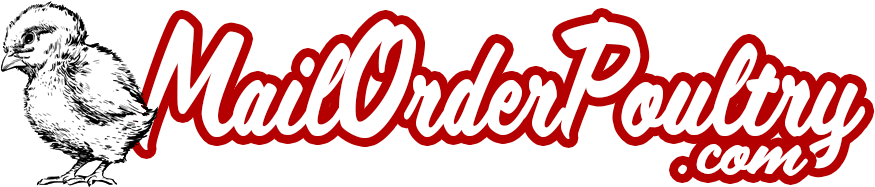 Mailorderpoultry - Com - Menu - Home - Shop - Mailorderpoultry.com (900x200), Png Download