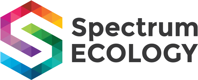 Logo Logo (720x480), Png Download