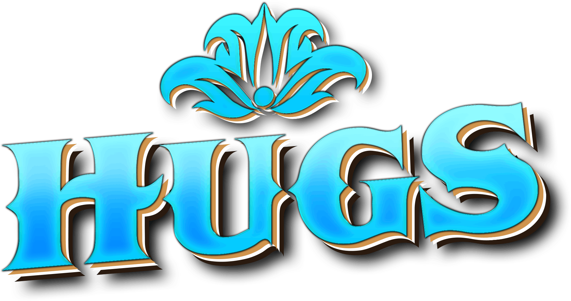 Hugs Alternative Care - Hugs Alternative Care Sacramento (510x247), Png Download