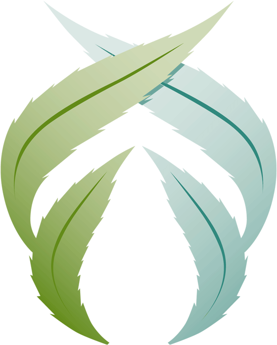 Foster Buds - Ne Glisan (800x800), Png Download