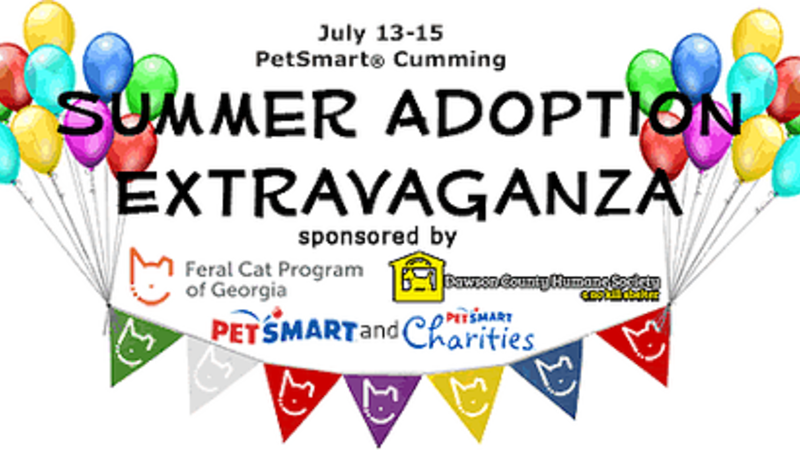 Jul 13 - Petsmart Charities (800x450), Png Download