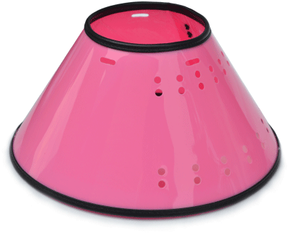 Dog Cone Collar Png (425x425), Png Download