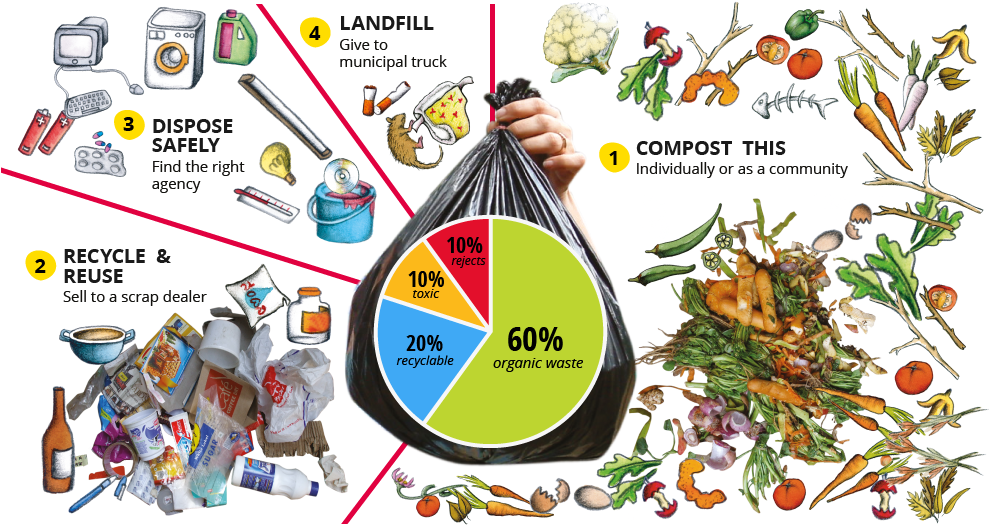 Know What You Throw - Organic Waste Examples (989x551), Png Download