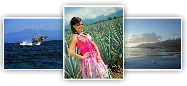 Costa Rica (725x334), Png Download