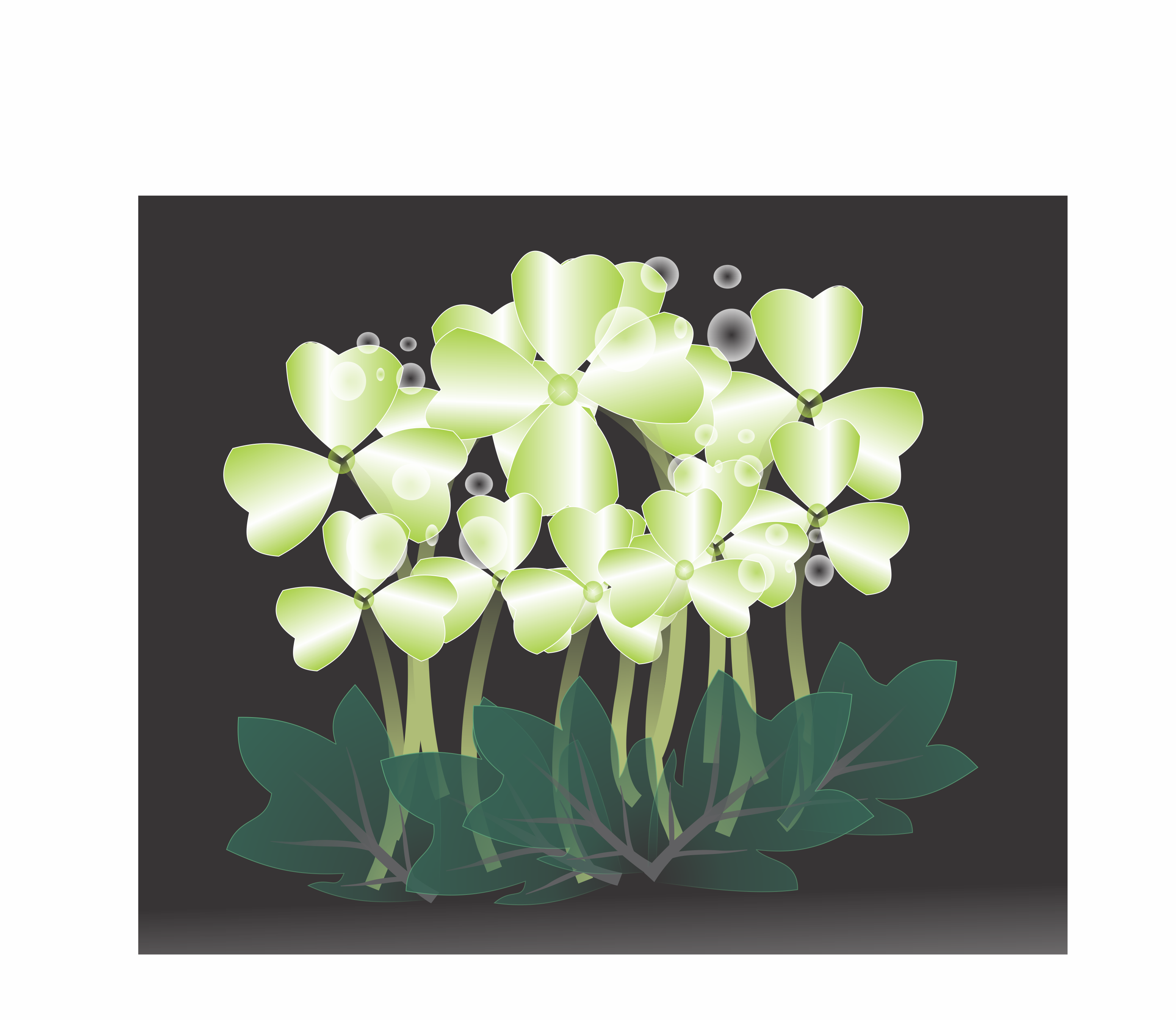 Make A Wish - Jasmine (3103x2691), Png Download