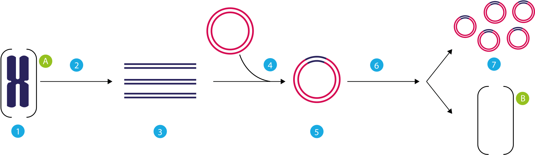 Open - Plasmid (2000x623), Png Download