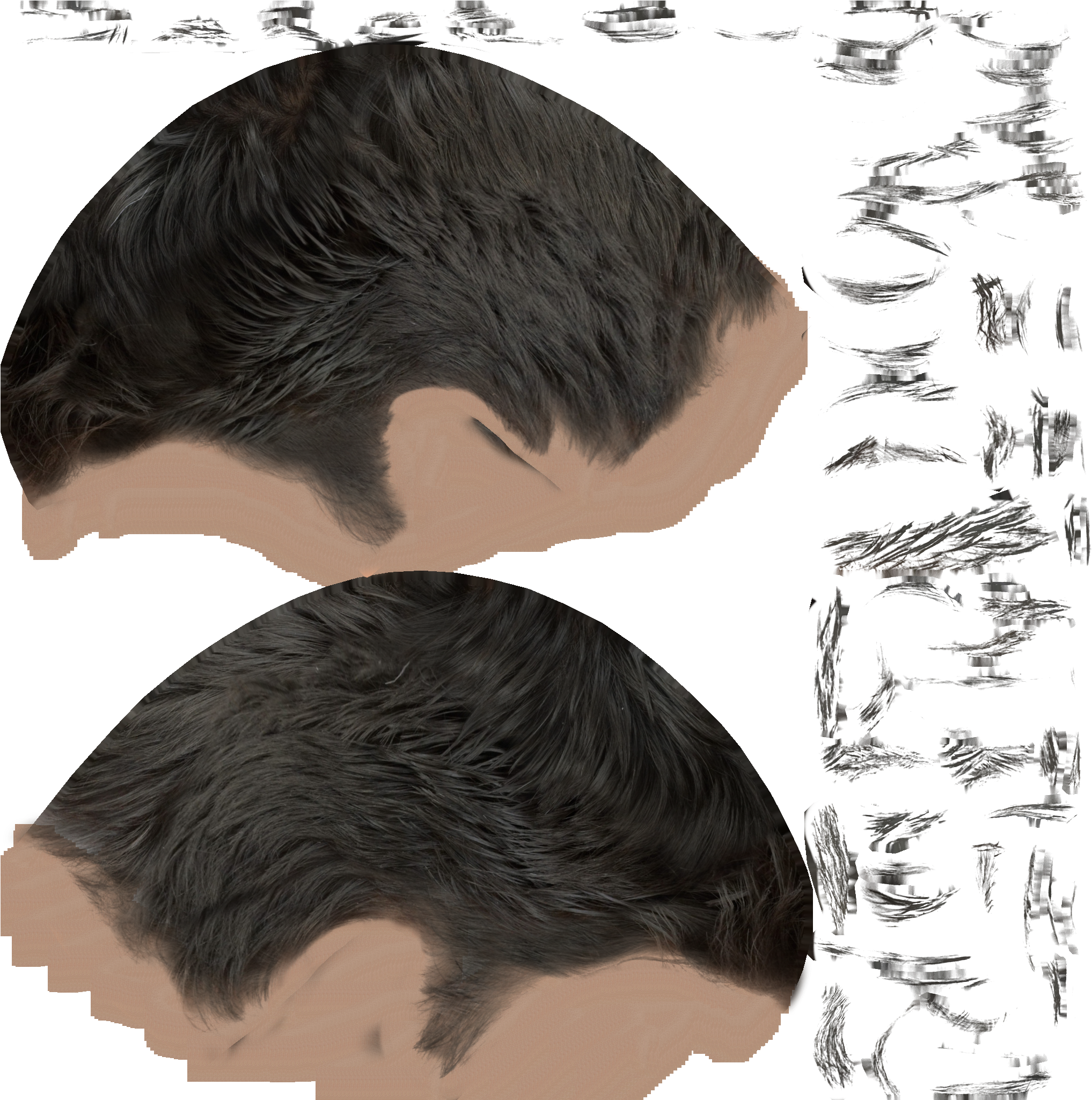 Male02 Diffuse Black - Hair (2048x2048), Png Download