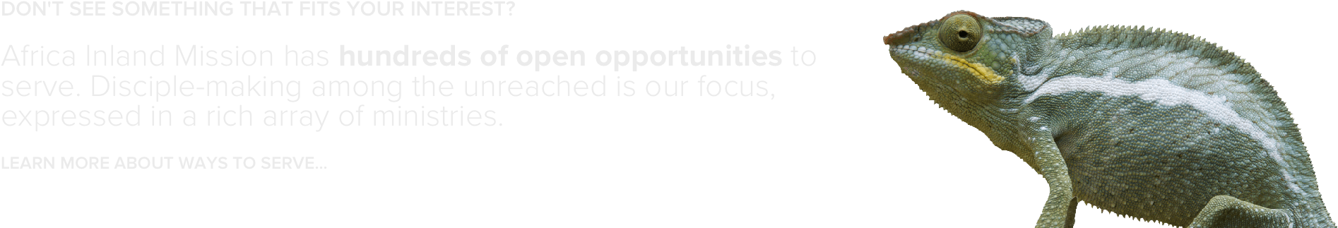 Don't See Something That Fits Your Interest Africa - Monochrome (2000x401), Png Download