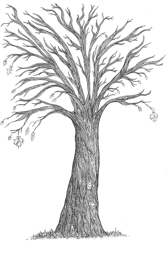 The Trees, Which Are Designed To Represent The Monster's - Sketch (1600x900), Png Download