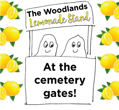 Woodlands Lemonade - Complete Idiot's Guide To Book Proposals (500x500), Png Download
