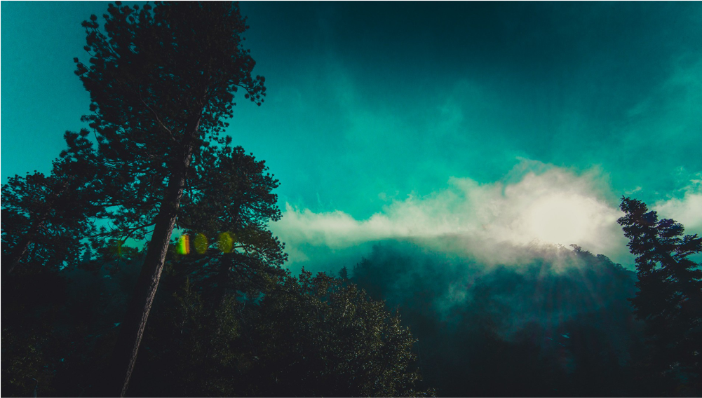 Score 50% - Walking In The Sun (1000x1000), Png Download